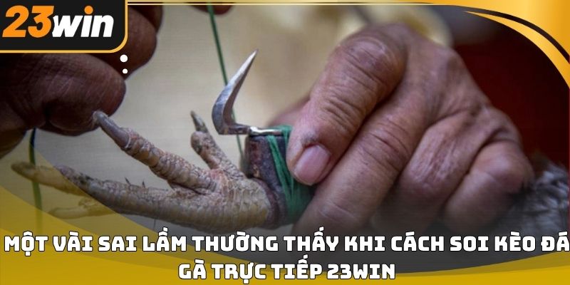 Cách soi kèo đá gà trực tiếp 23win hiệu quả cho người mới
