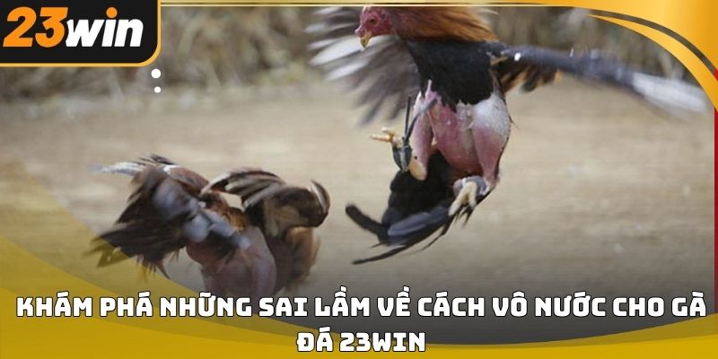 Cách vô nước cho gà đá 23win chuẩn kỹ thuật cho người nuôi