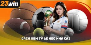 Cách xem tỷ lệ kèo nhà cái 23win chuẩn xác cho người mới