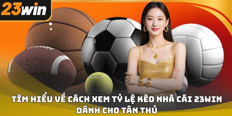 Cách xem tỷ lệ kèo nhà cái 23win chuẩn xác cho người mới