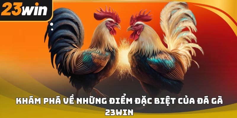 Đá gà