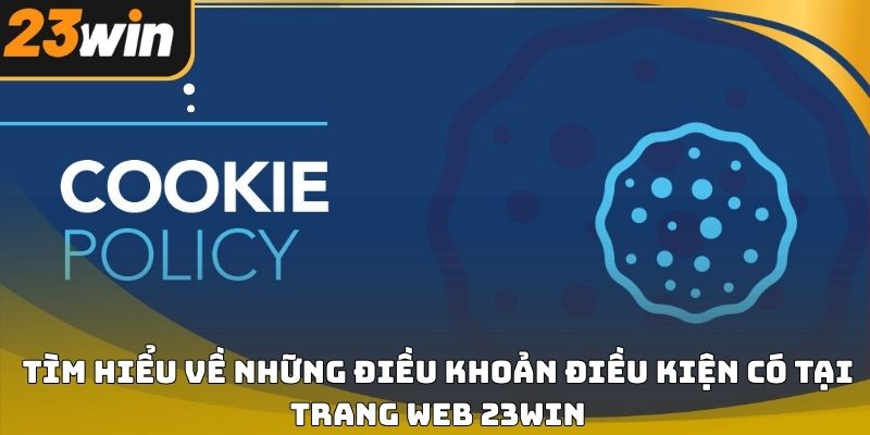Điều khoản và điều kiện