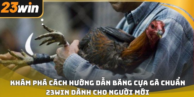 Hướng dẫn băng cựa gà chuẩn 23win đúng kỹ thuật