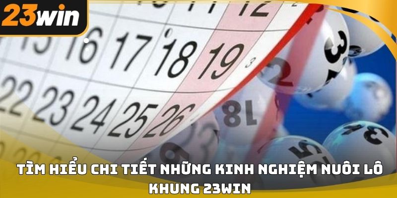 Kinh nghiệm nuôi lô khung 23win hiệu quả và dễ áp dụng